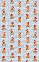 Wintertime Lioness - London Penny Gift Wrap