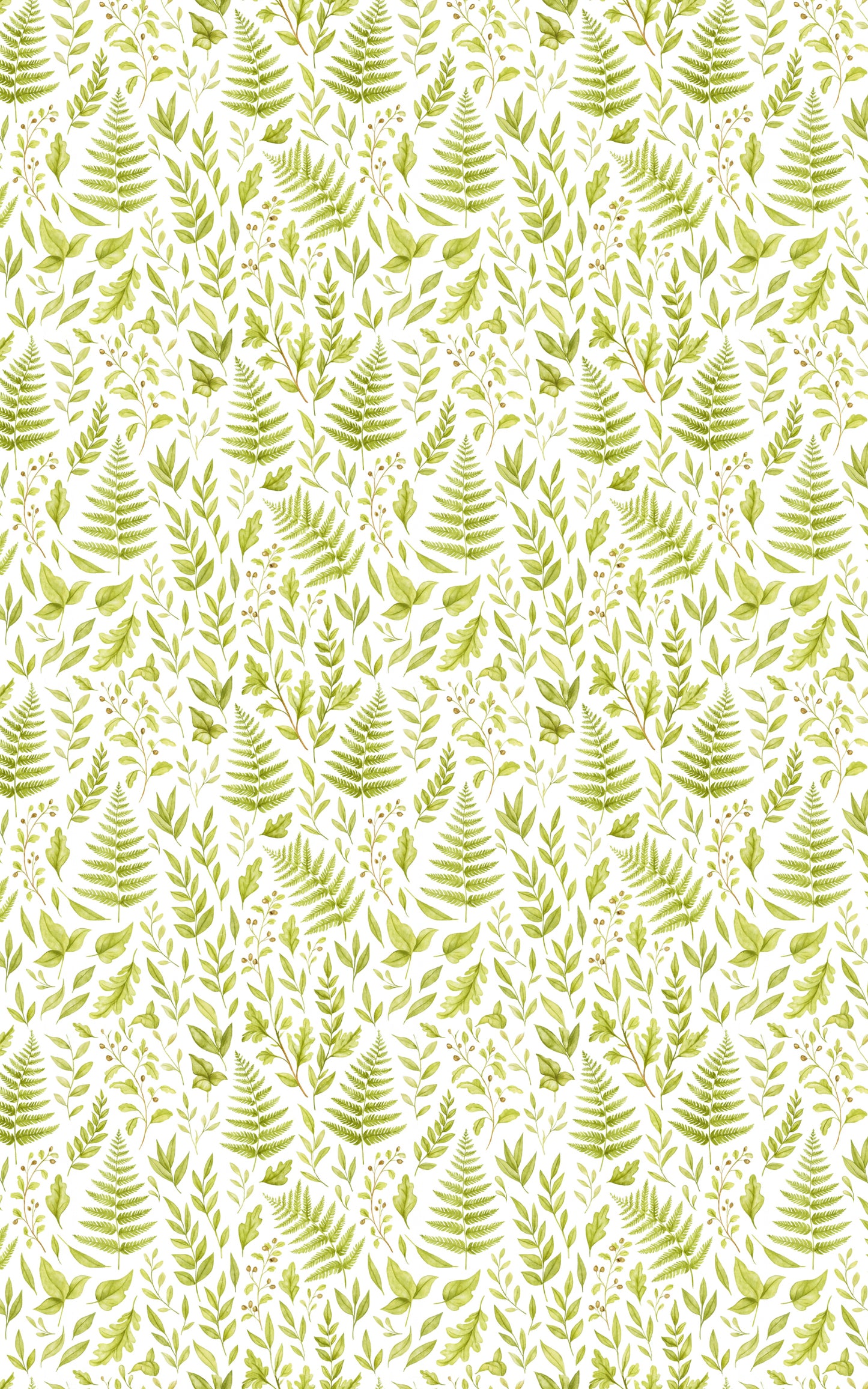 Fern & Moss Woodland