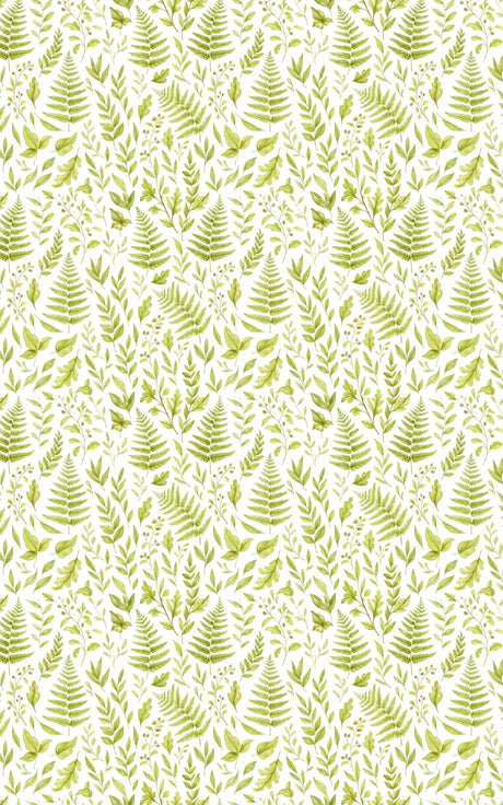 Fern & Moss Woodland - London Penny Gift Wrap
