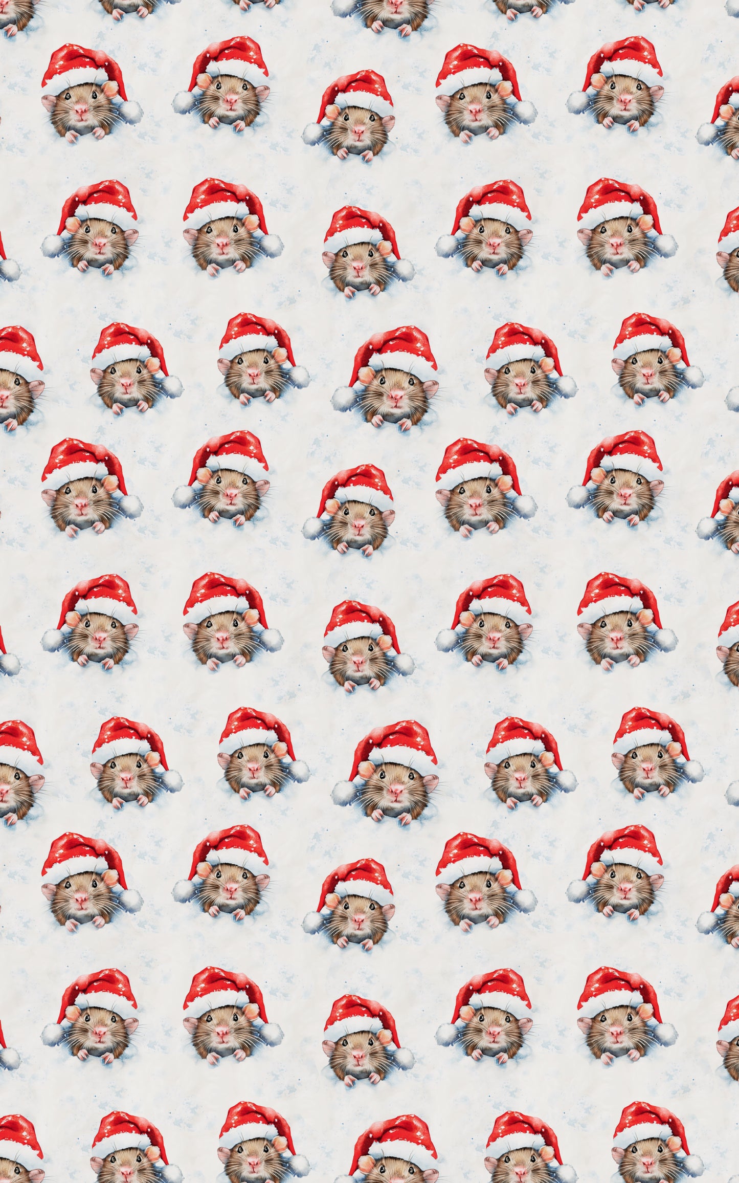 Festive Whiskers