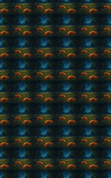 Firefly Fidos - London Penny Gift Wrap