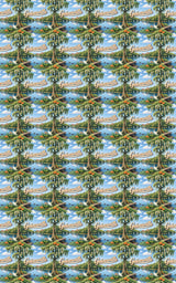 Gainesville Gator Country Glow - London Penny Gift Wrap