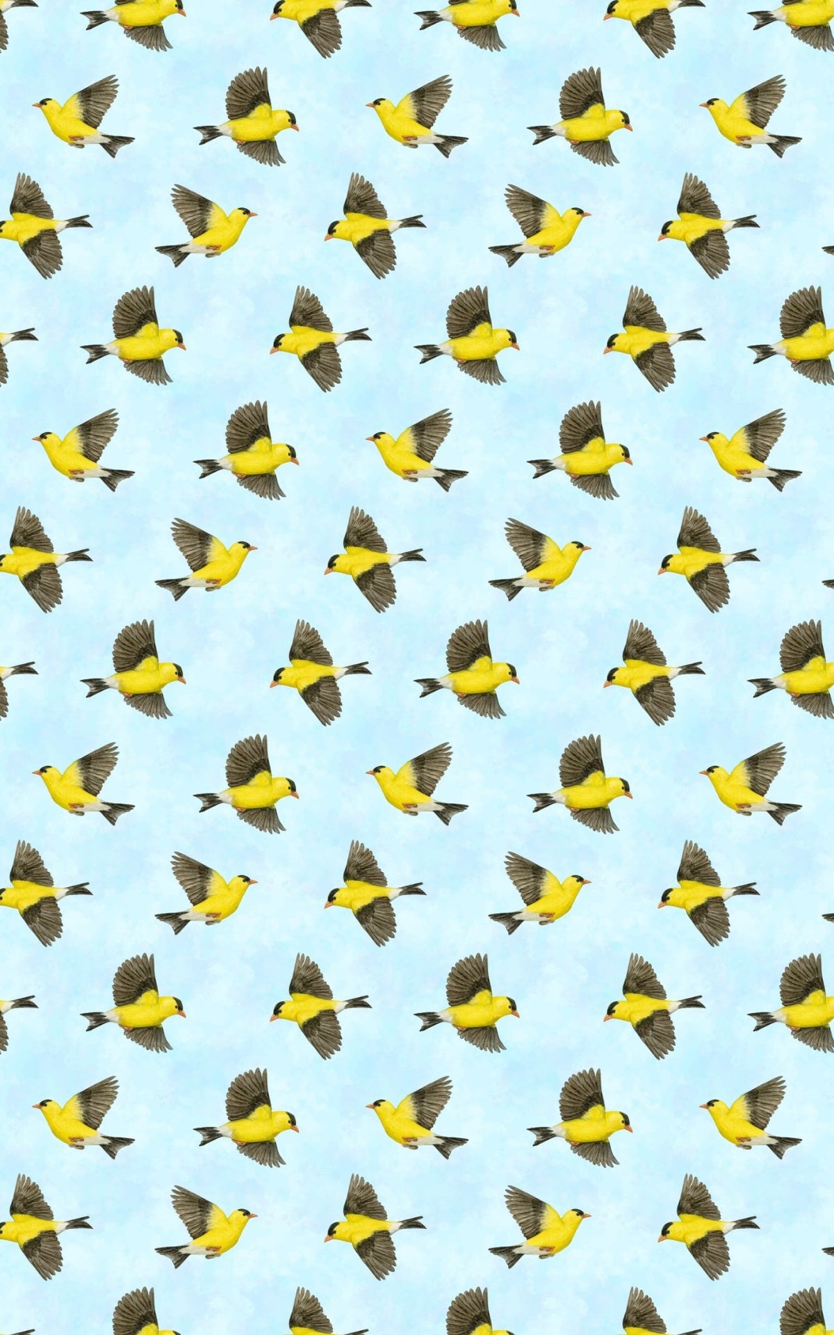 The Finch’s Song - London Penny Gift Wrap
