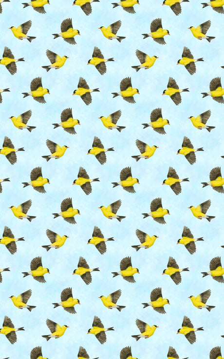 The Finch’s Song - London Penny Gift Wrap
