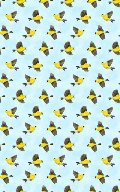 The Finch’s Song