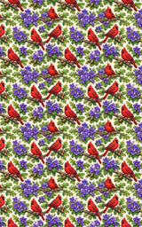 Illinois Flora & Fauna - London Penny Gift Wrap