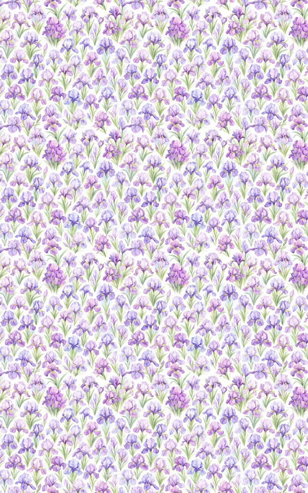 Spring Iris Dance - London Penny Gift Wrap
