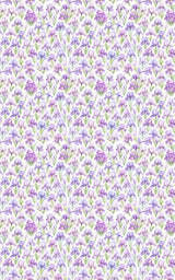 Spring Iris Dance - London Penny Gift Wrap