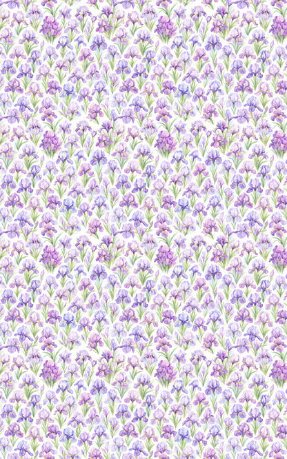 Spring Iris Dance
