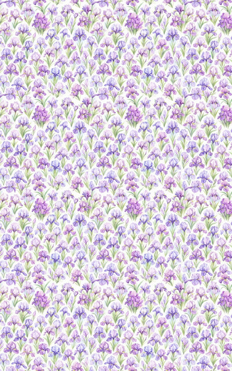 Spring Iris Dance - London Penny Gift Wrap