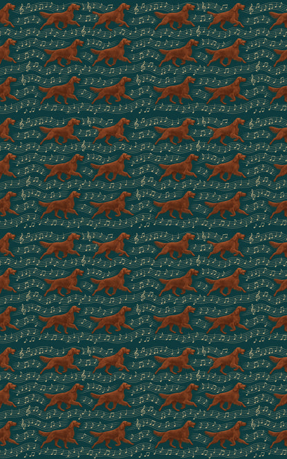 Irish Setter Symphony
