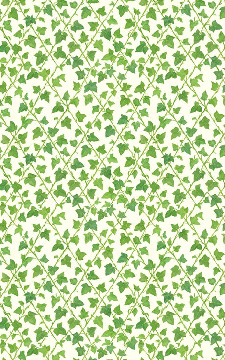 Ivy Garden - London Penny Gift Wrap