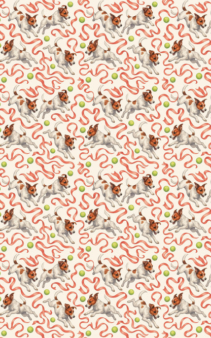 Jack Russell Jamboree