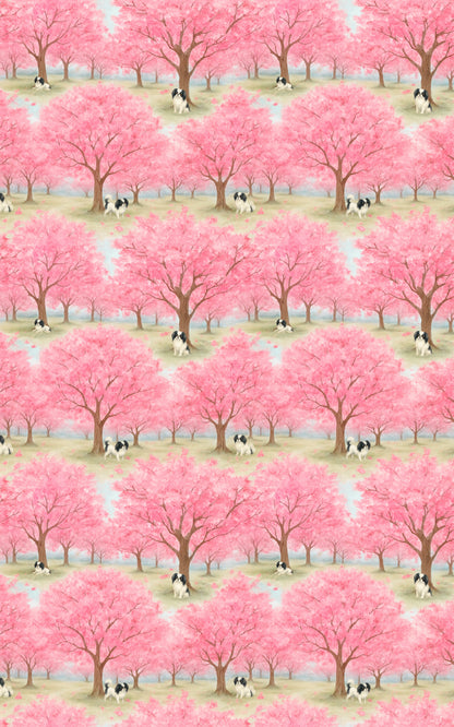 Japanese Chin