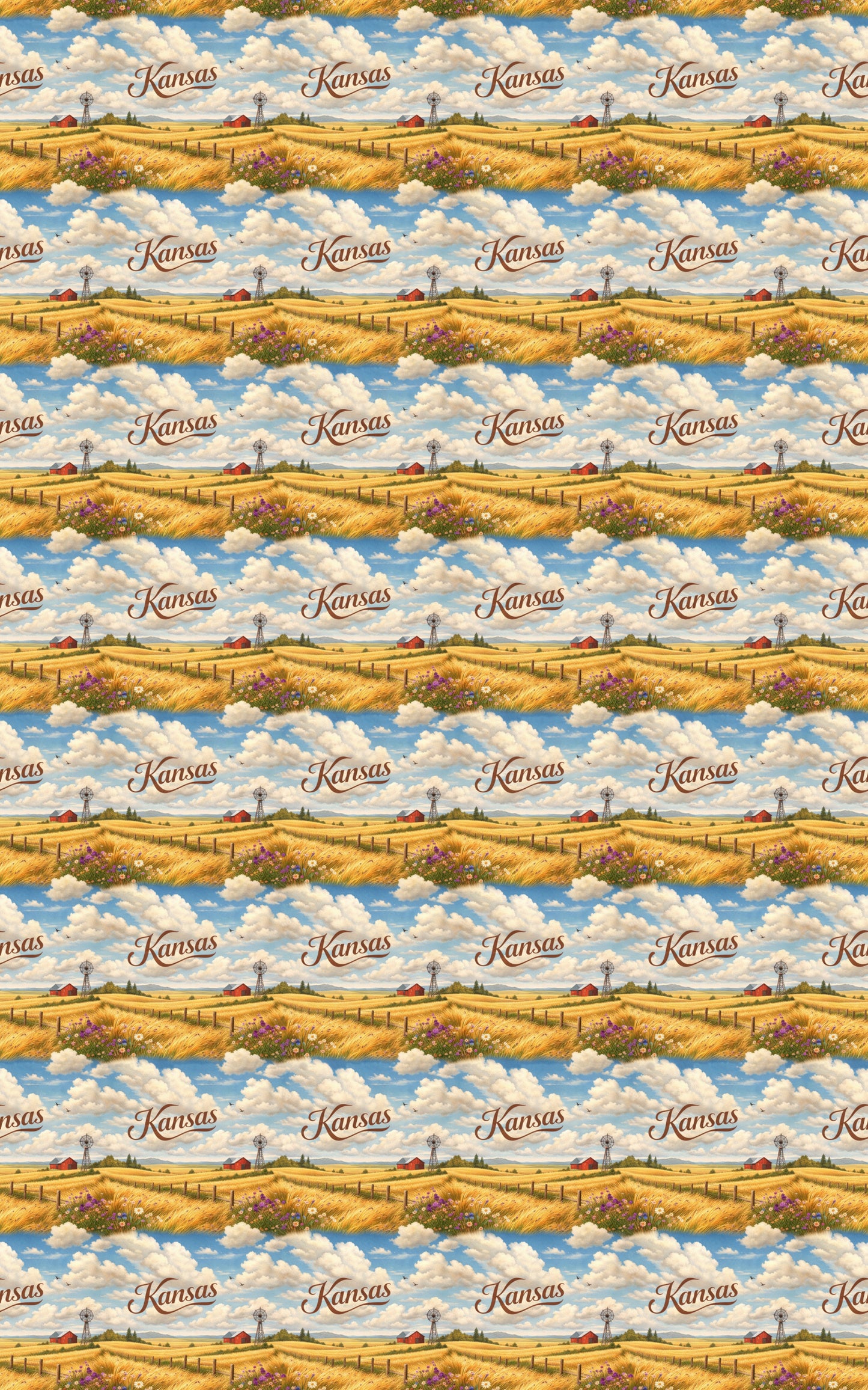 Kansas Endless Plains