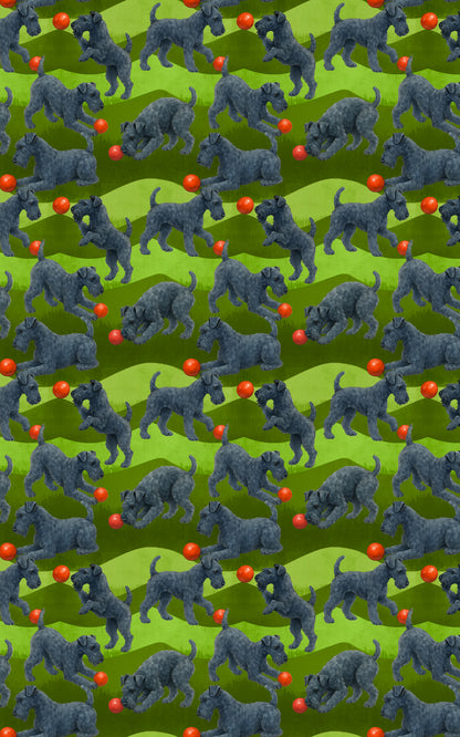 Garden Kerry Blue Terrier
