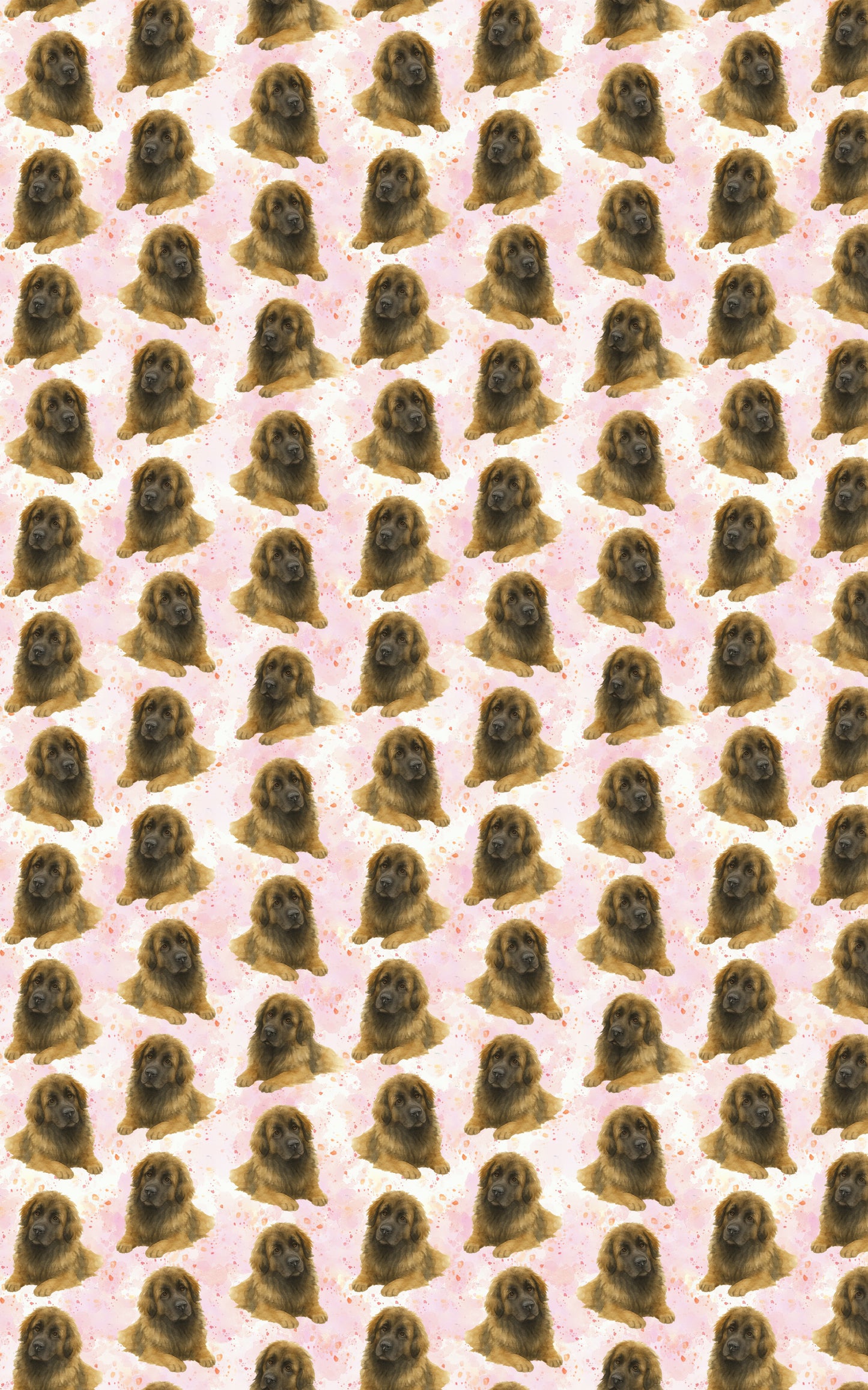 Pastel Paws