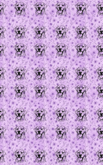 Lilac Labradors
