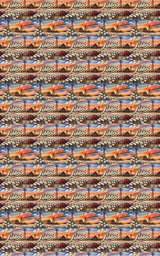 Lubbock Plains Legacy - London Penny Gift Wrap