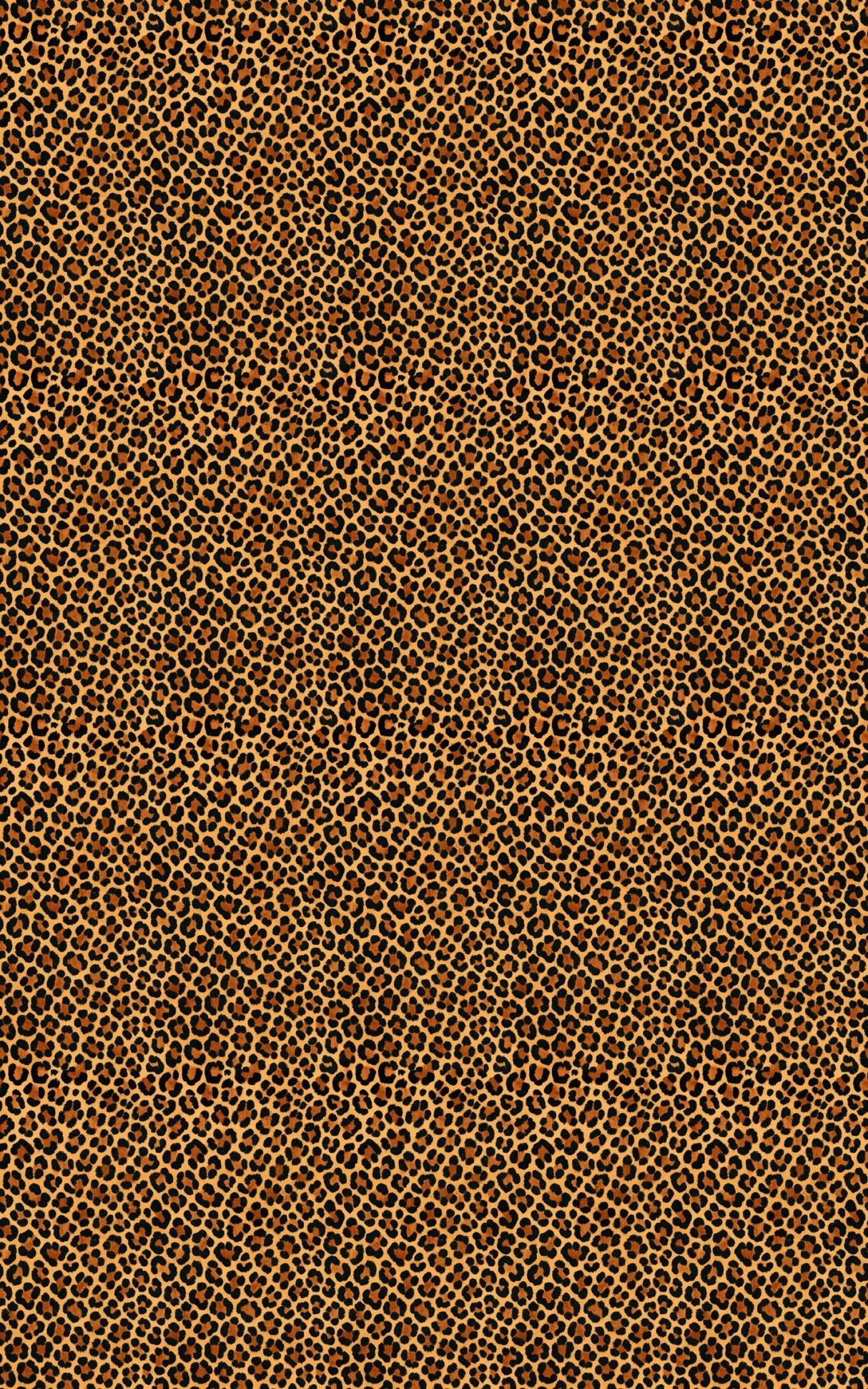 Leopard Luxe - London Penny Gift Wrap