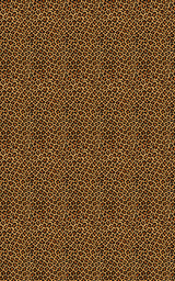 Leopard Luxe - London Penny Gift Wrap