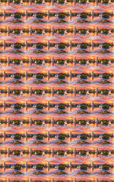 Madison Capitol Lakes - London Penny Gift Wrap