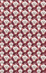 Romantic Valentine’s Maltese Wrapping Paper