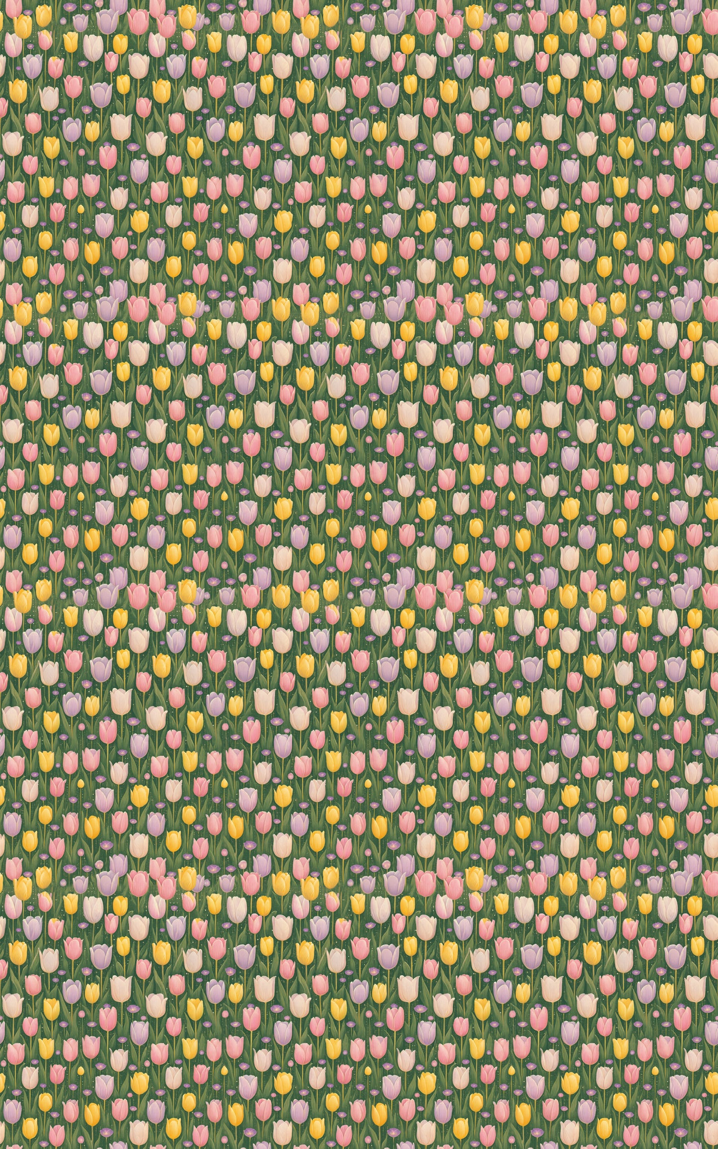 Morning Tulip Fields