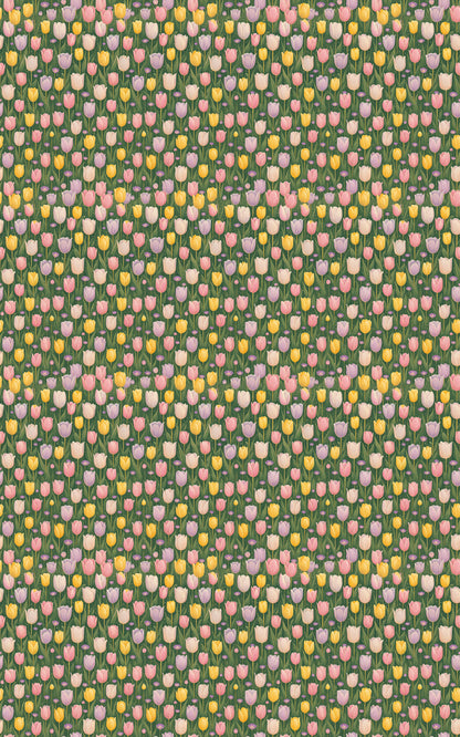 Morning Tulip Fields