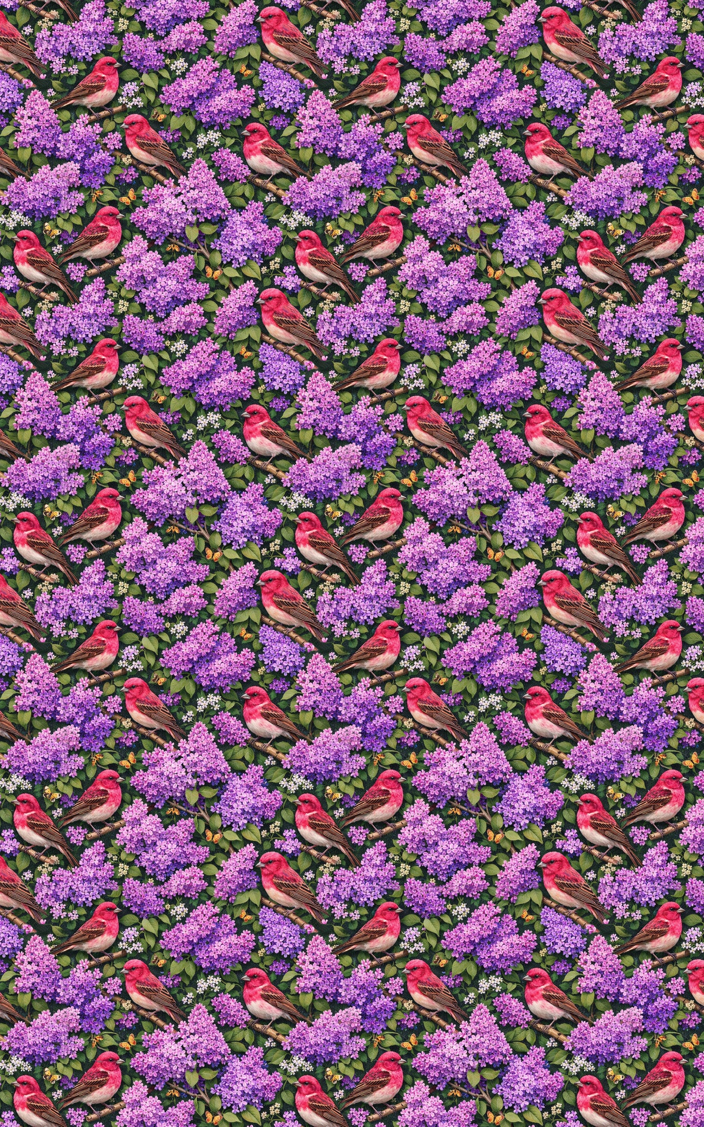 New Hampshire Flora & Fauna