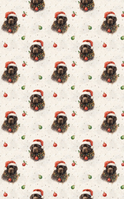 Pawliday Spirit