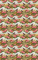 Oklahoma Flora & Fauna - London Penny Gift Wrap