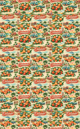 Orlando Citrus & Sunshine - London Penny Gift Wrap