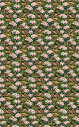 Pennsylvania Flora & Fauna - London Penny Gift Wrap
