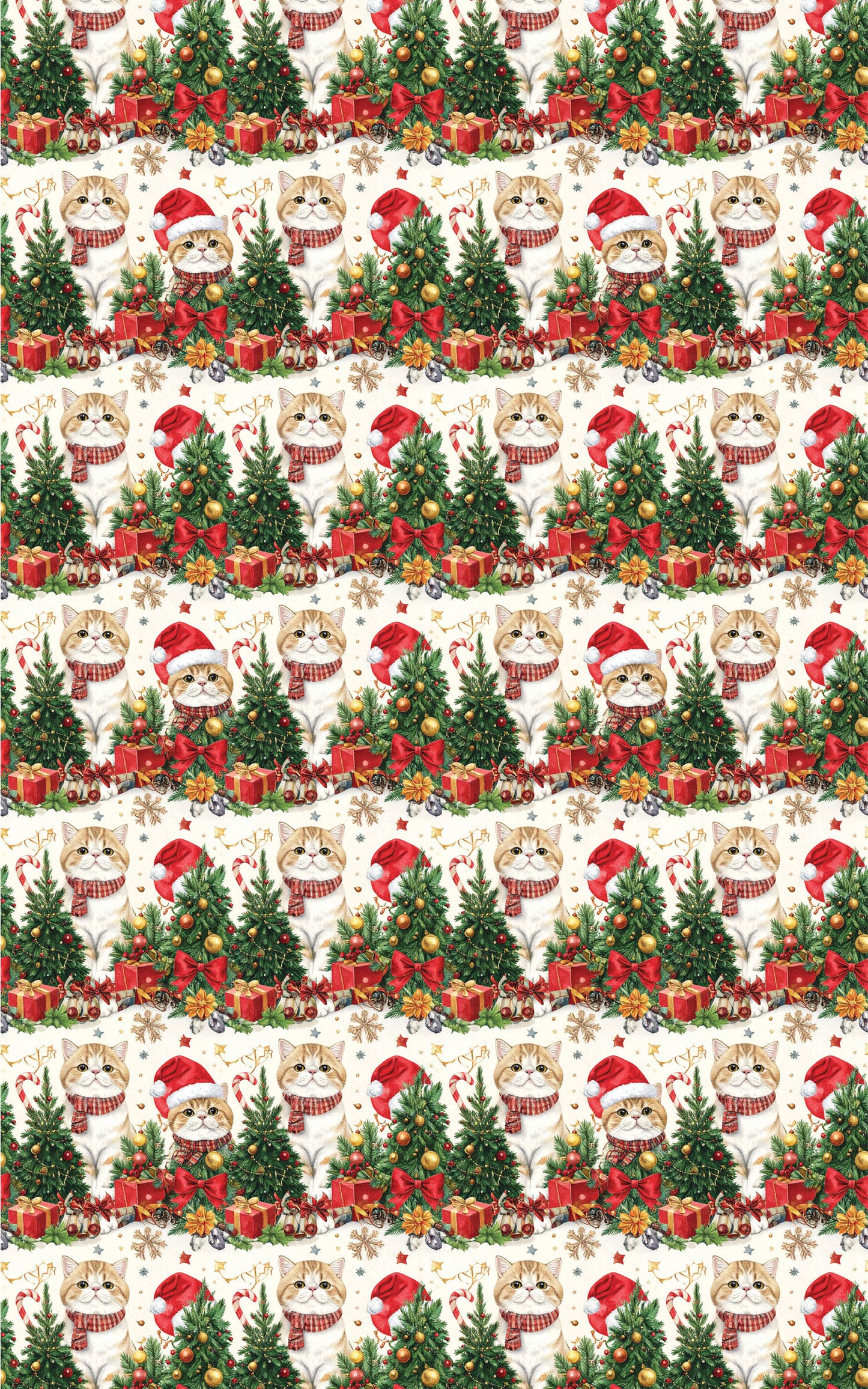 Holiday Exotic Shorthairs Wrapping Paper