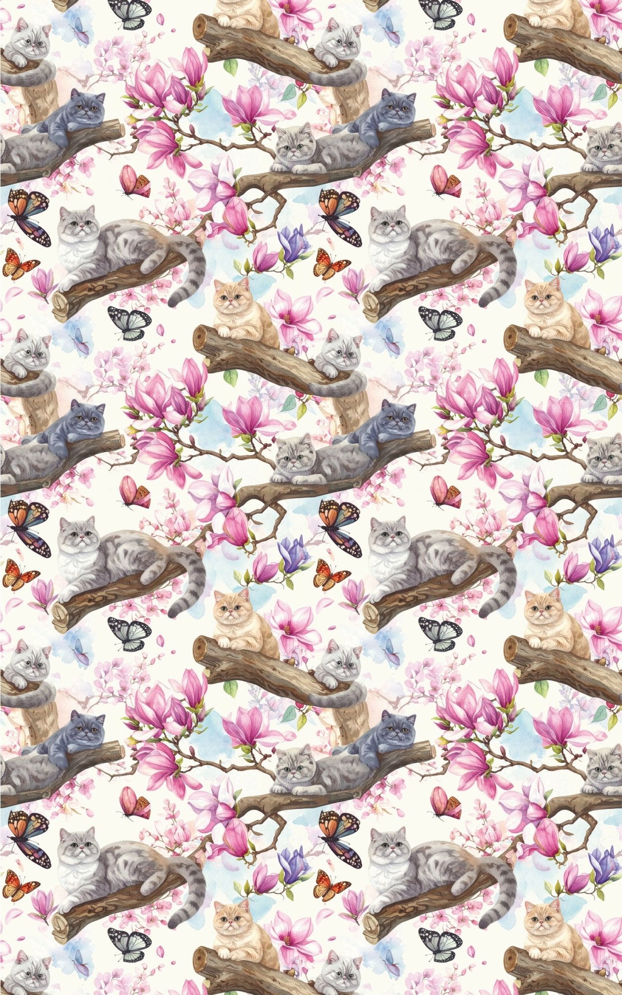 Spring Blossom Cats (Exotic Shorthair) Wrapping Paper