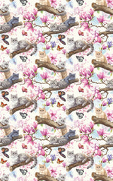 Spring Blossom Cats (Exotic Shorthair) Wrapping Paper - London Penny Gift Wrap