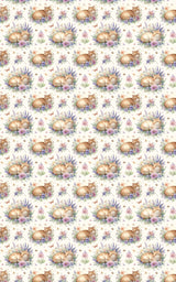 Cats & Floral Cottage (Exotic Shorthair) Wrapping Paper - London Penny Gift Wrap