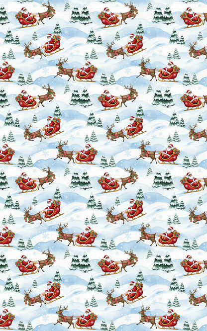 Santa & Sleigh Friends