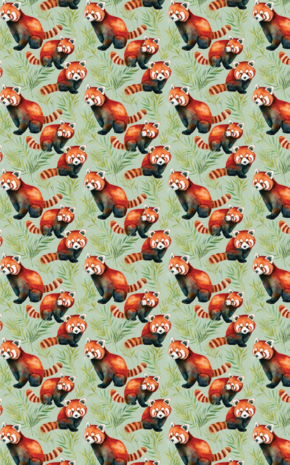 Safari Stroll: Red Panda