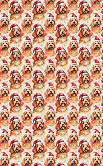 Twinkling Cavapoo Holiday