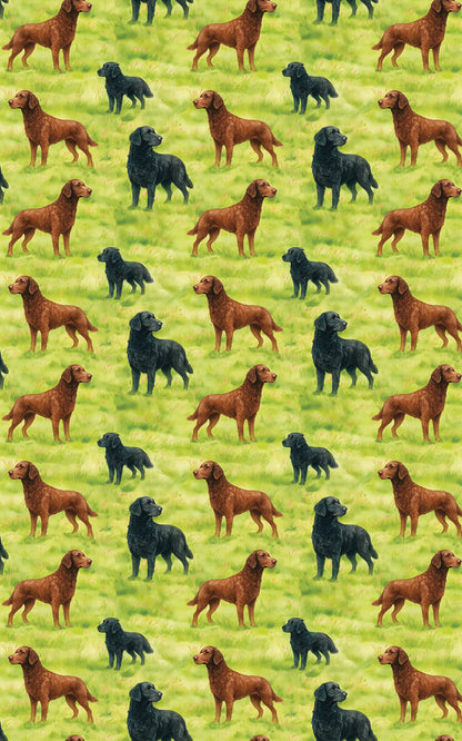 Retriever Whorls