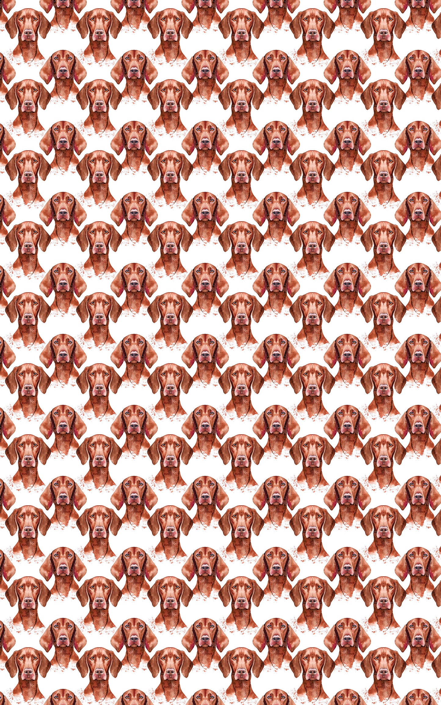 Velvet Vizsla
