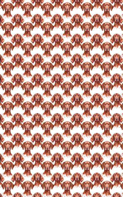 Velvet Vizsla