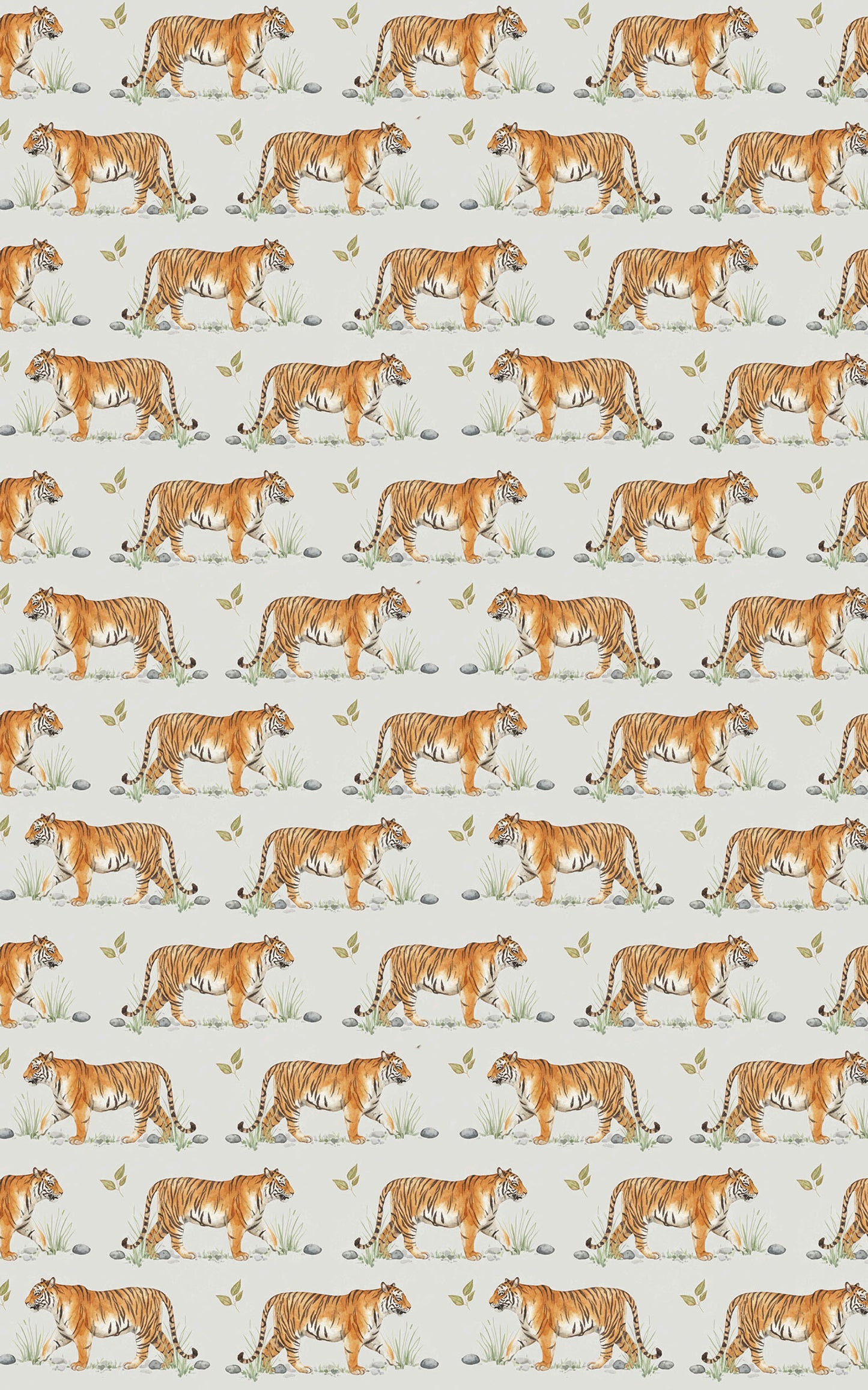 Safari Stroll: Tiger