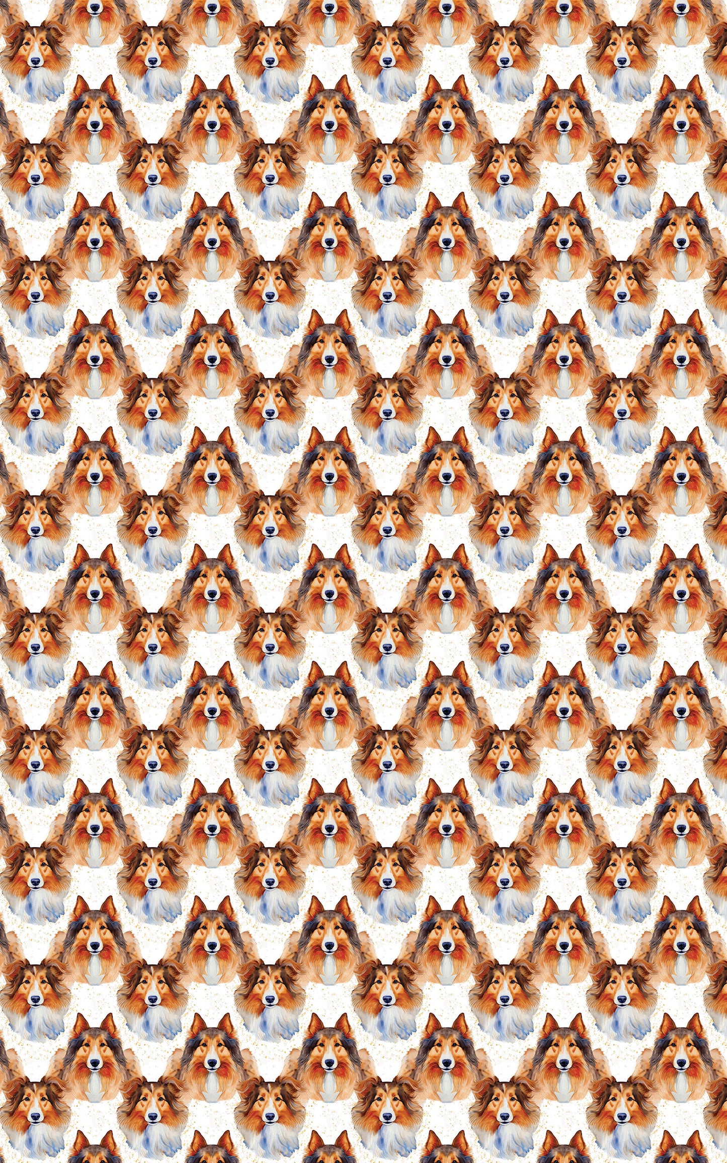 Collie Grace