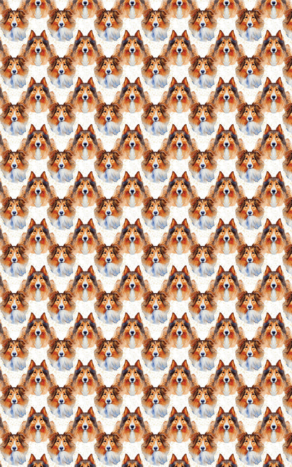 Collie Grace