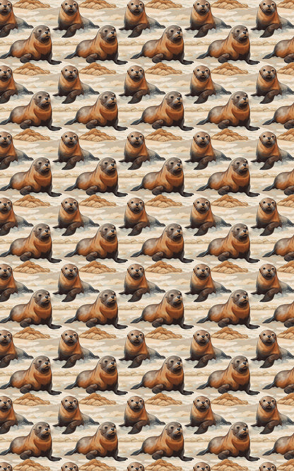 Safari Stroll: Sea Lion