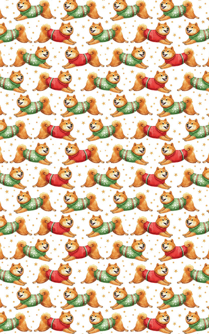 Shiba in Holiday Motion