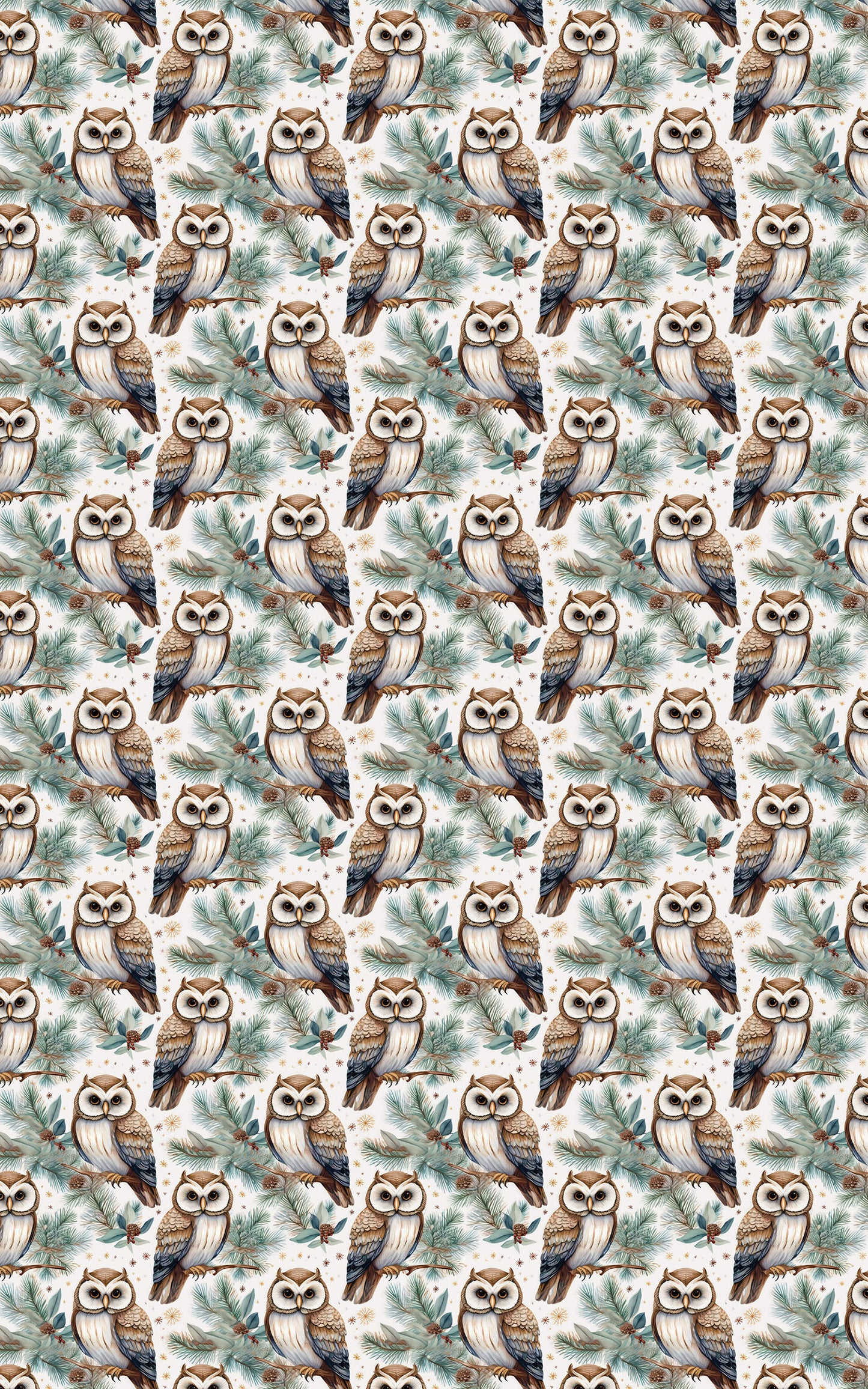 Winter Hoots
